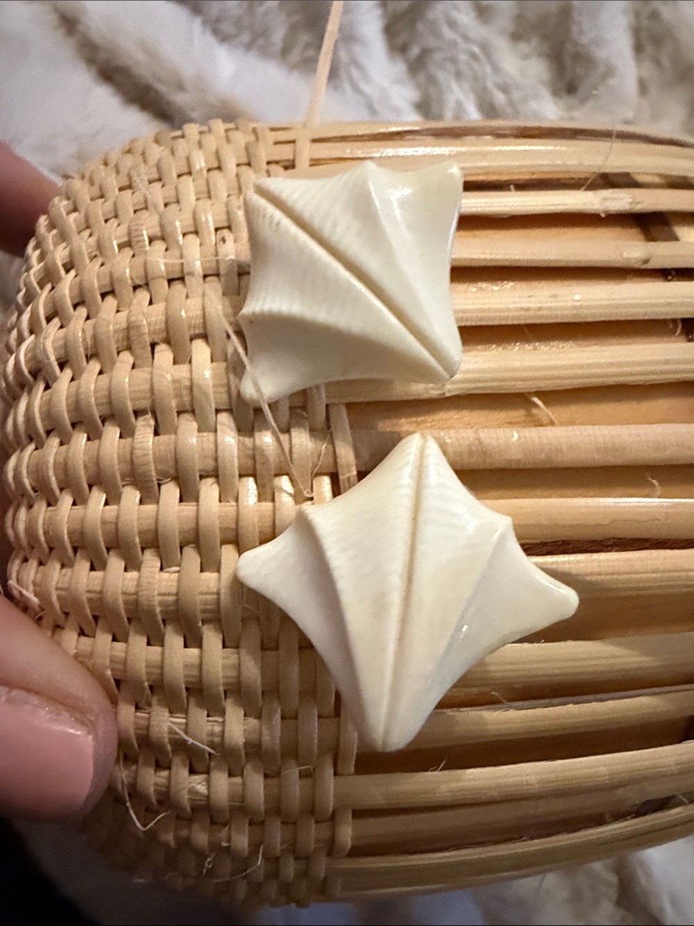 Ivory Shell Accent Earrings - Women Accessories